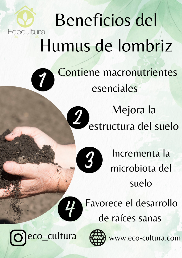 Qué es el humus de lombriz y cómo usarlo en el huerto Ecocultura